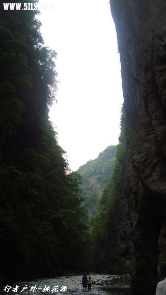 DSC03104.jpg