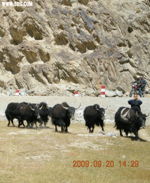DSCN4090.JPG