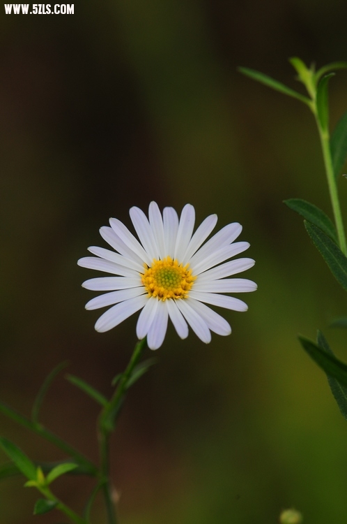 DSC_0543.jpg