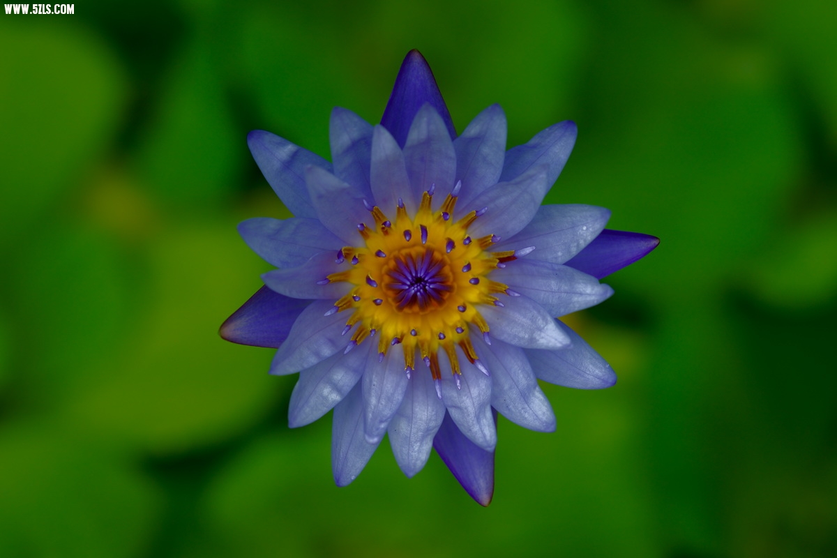 DSC01020.jpg