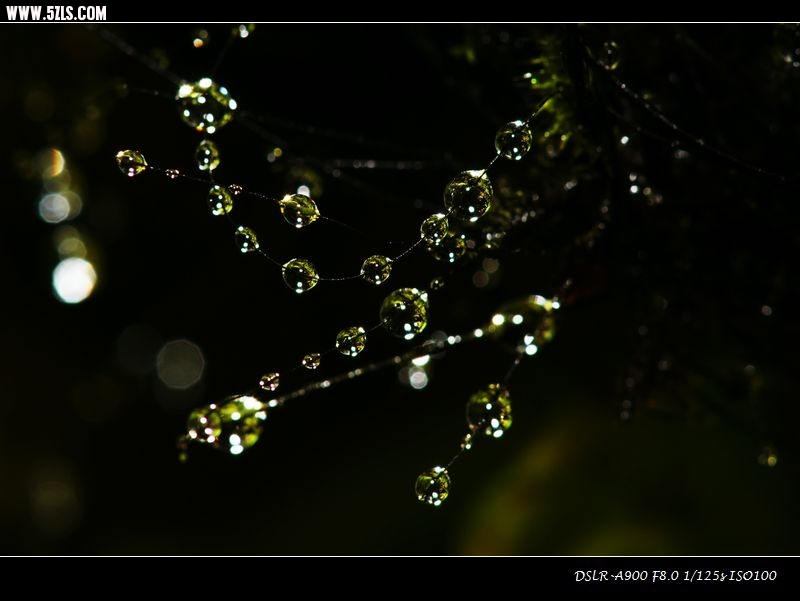 DSC00878.jpg