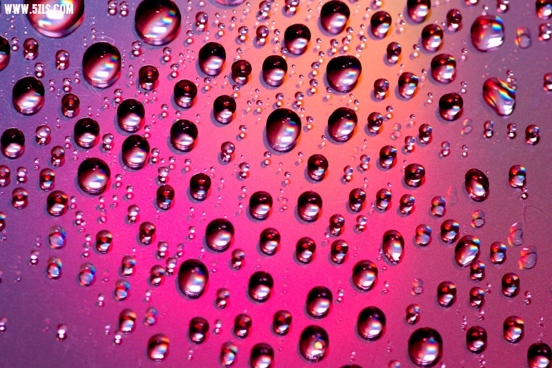 nEO_IMG_DSC00938.jpg