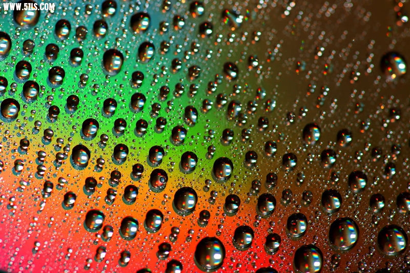 nEO_IMG_DSC00937.jpg