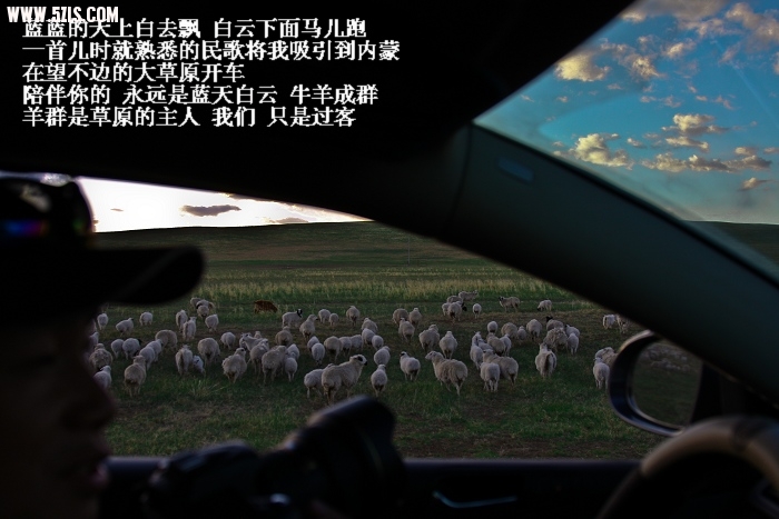 20090605-IMG_4252.jpg