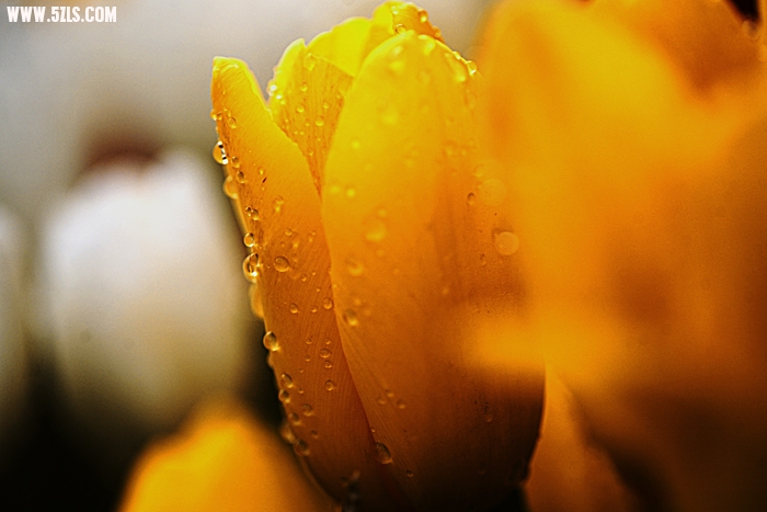 201031914393892.jpg