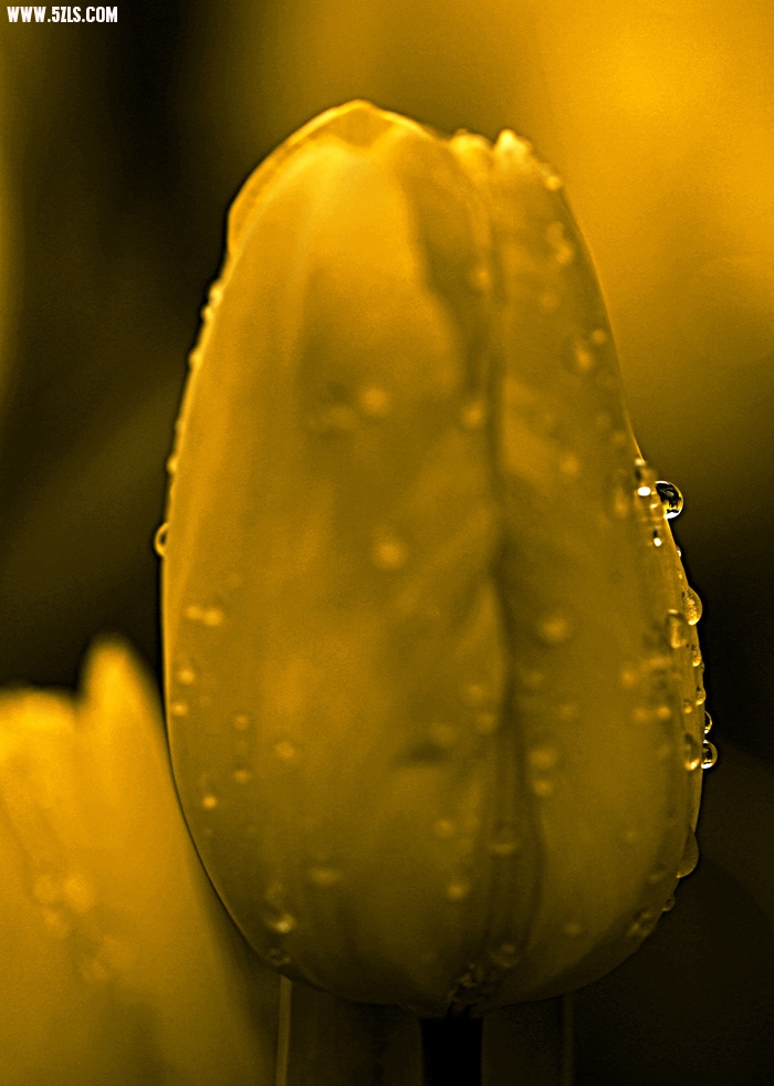 201031983624489.jpg