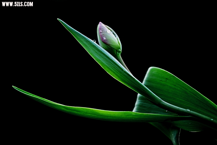 201031992076602.jpg