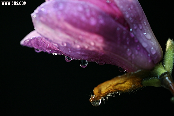 20103141265859924.jpg