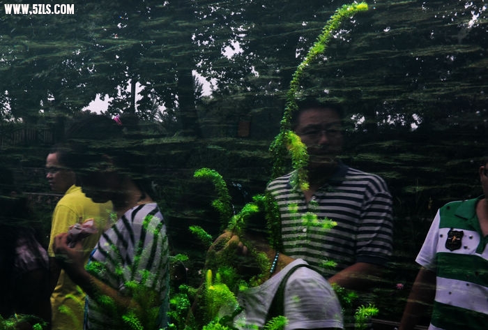 123 037.jpg