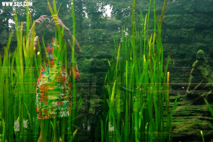 123 058.jpg