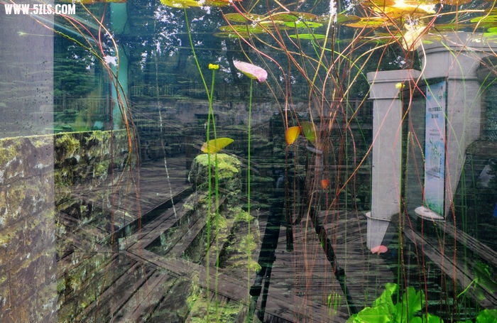 123 090.jpg
