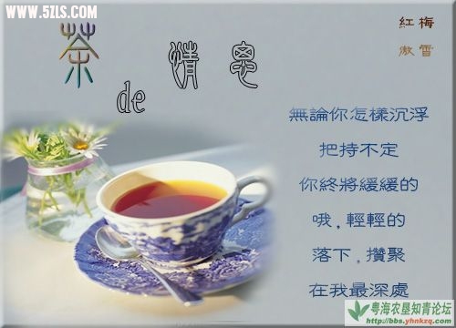 clip_image001.jpg