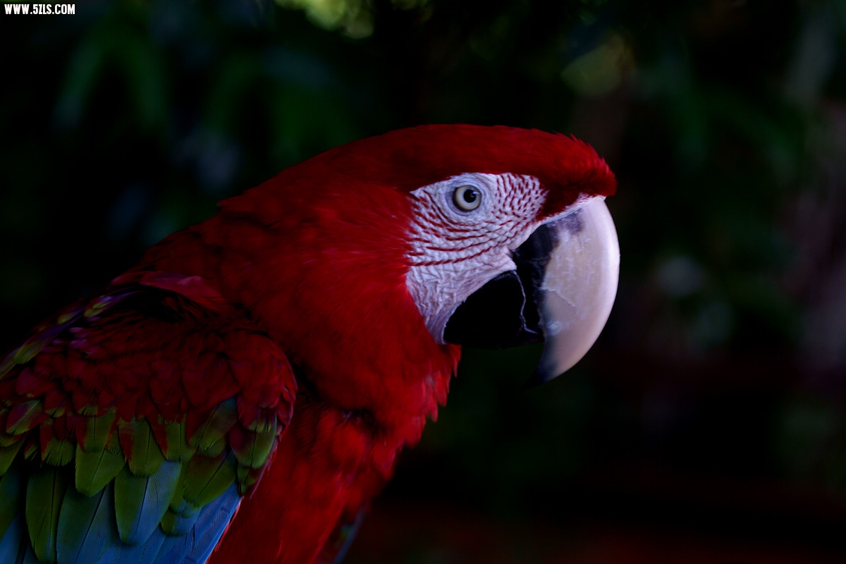 DSC01287.jpg