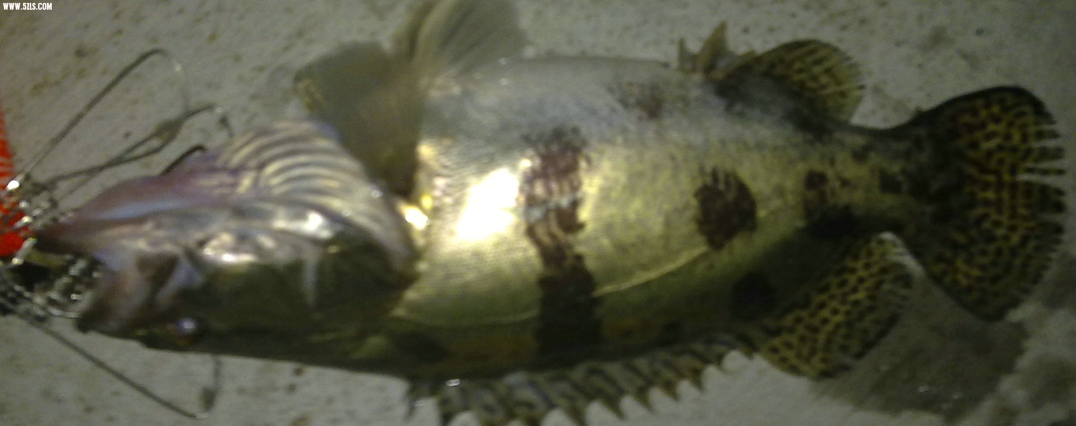 20100617105_.jpg