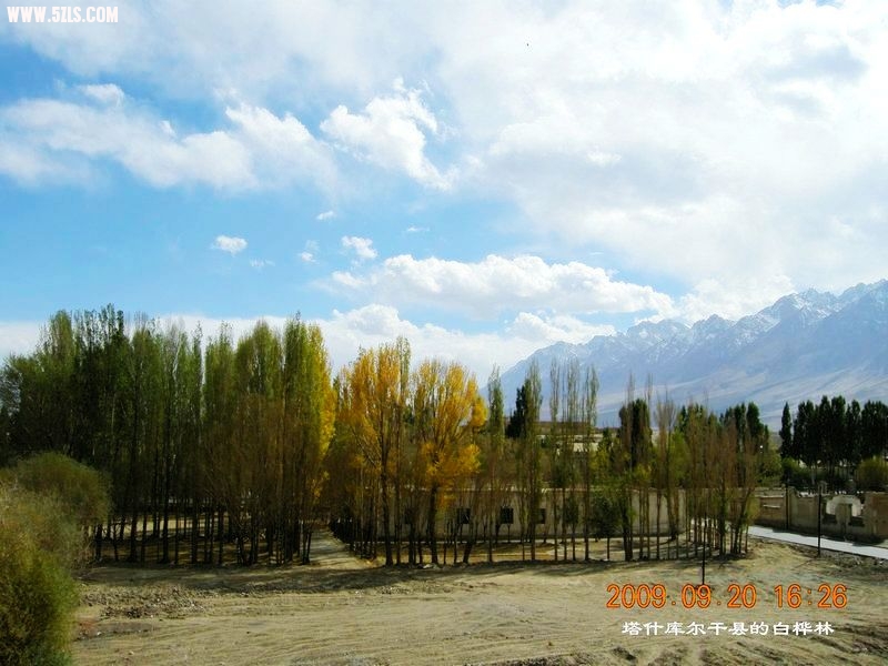 DSCN4186.JPG