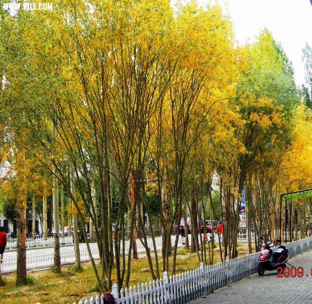 DSCN4201.JPG
