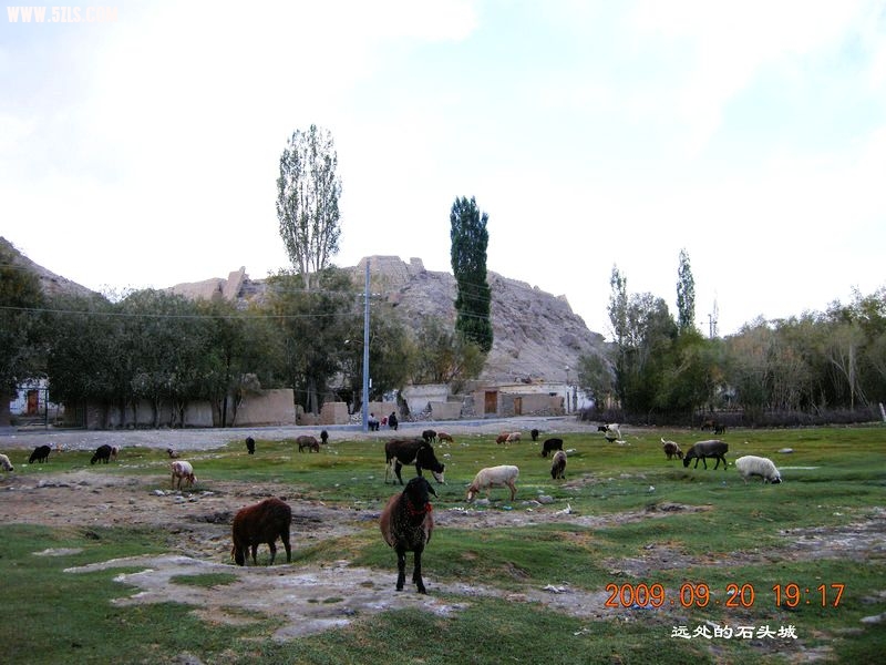 DSCN4216.JPG