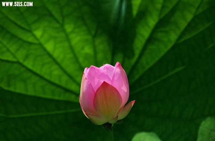 Ƭ03.jpg