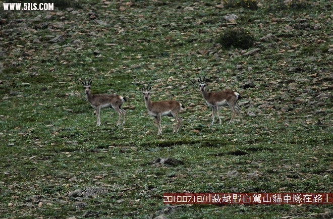 DSC_8418.jpg
