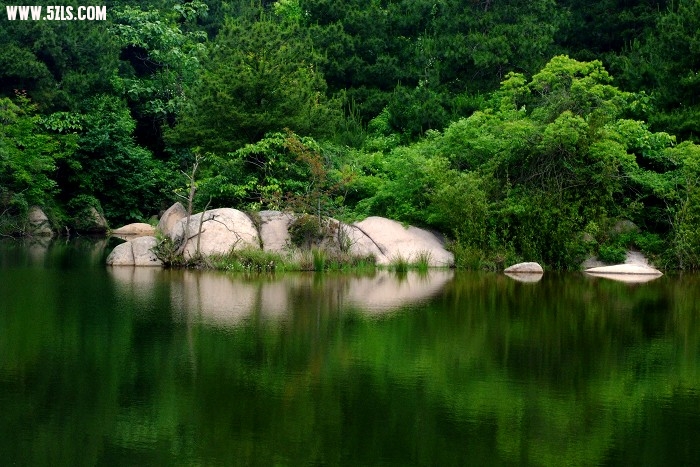 2009531163645.jpg