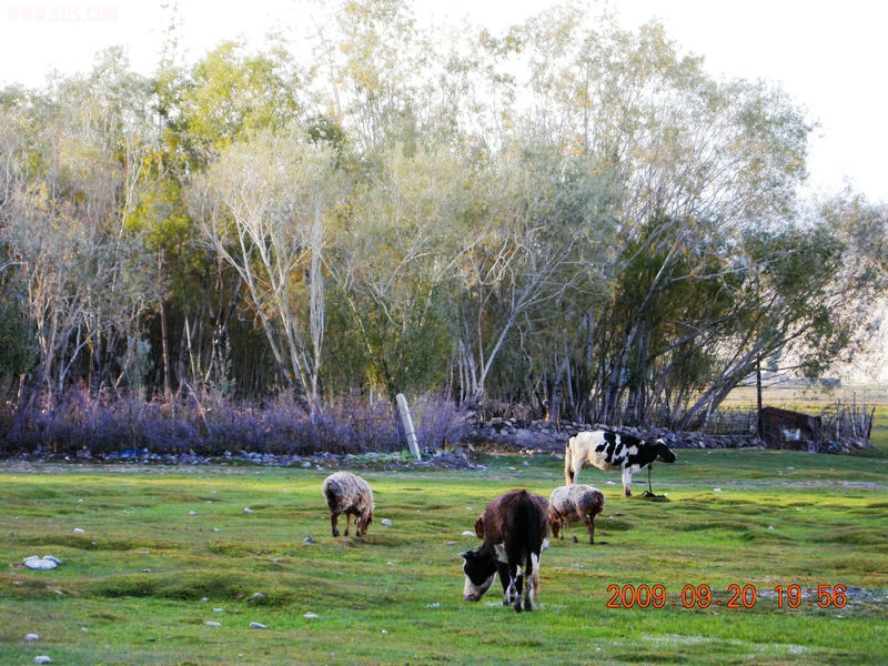 DSCN4257.JPG