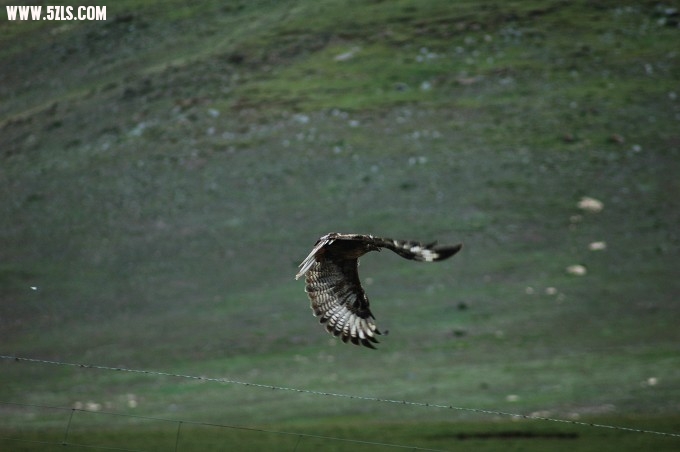 DSC_8967.jpg