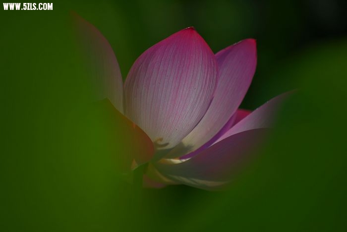 DSC_0010.JPG