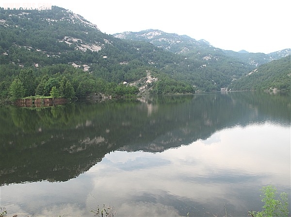 IMG_0036_1.jpg