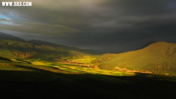 IMG_3444a.jpg