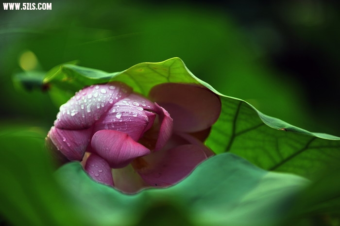 DSC_6756_СС.jpg