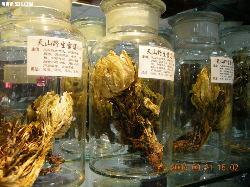 DSCN4402.JPG