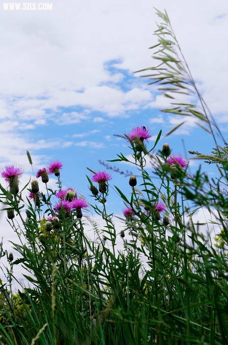 201007 051.jpg