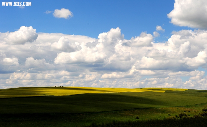 201007 416.jpg