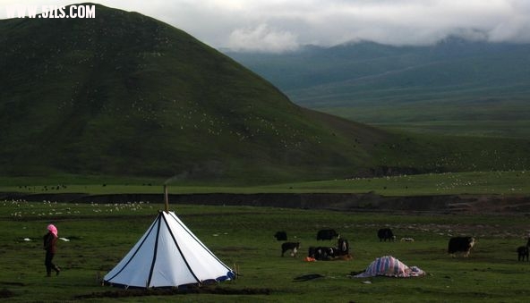 IMG_2550.jpg
