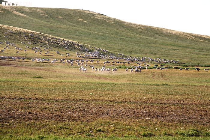 IMG_1646.JPG