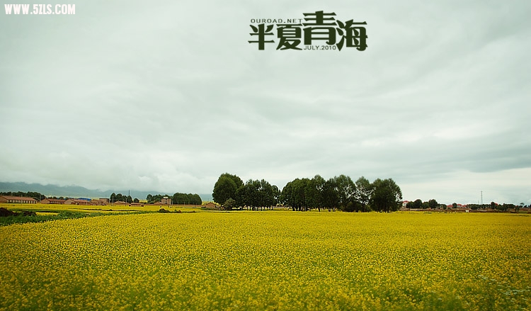 20100711_0351.jpg