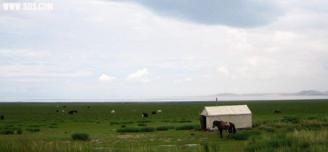 IMG_0295.jpg