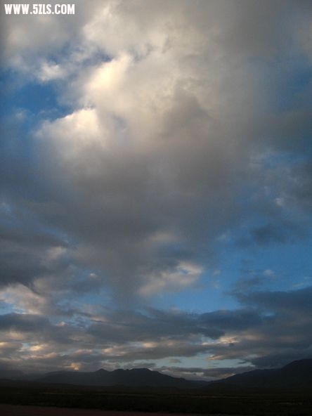 IMG_2828.jpg