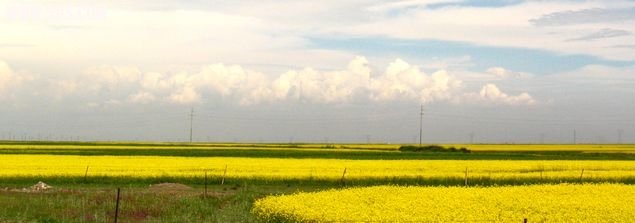 IMG_3209.jpg