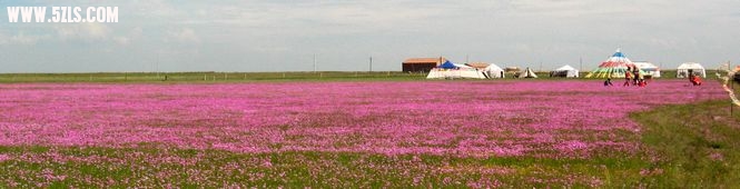 IMG_3218.jpg