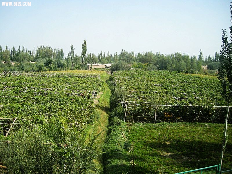 DSCN4437.JPG