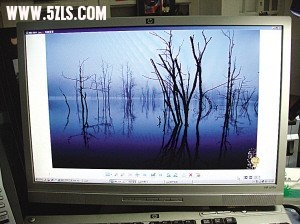38662810.jpg