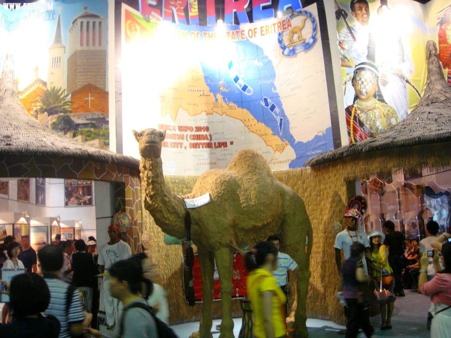 DSC01080.JPG
