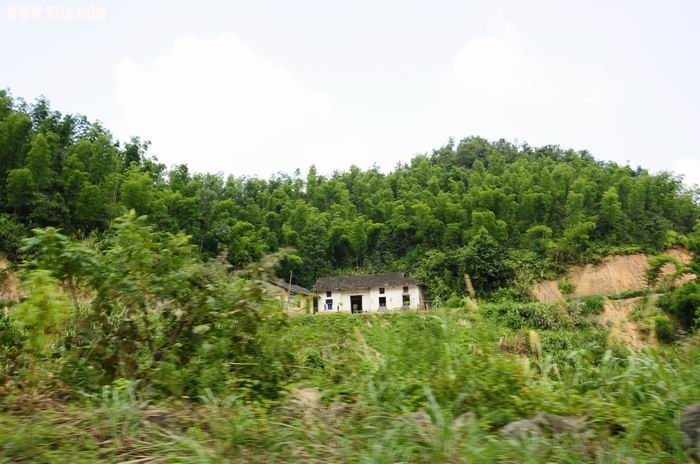С _DSC0302.JPG