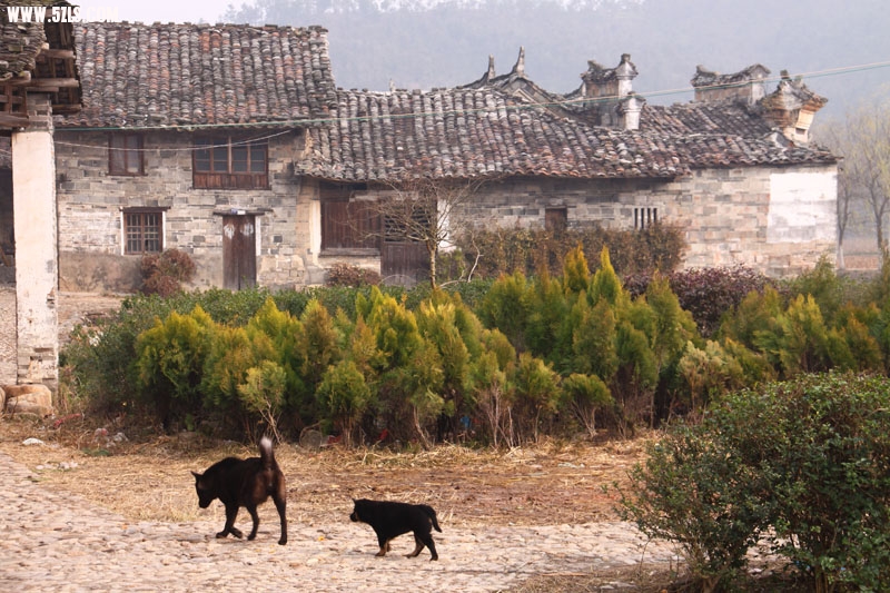 20100115092214.jpg