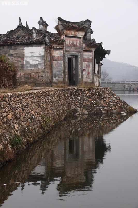20100115091358.jpg