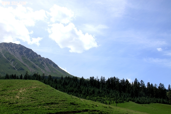 IMG_5671.jpg