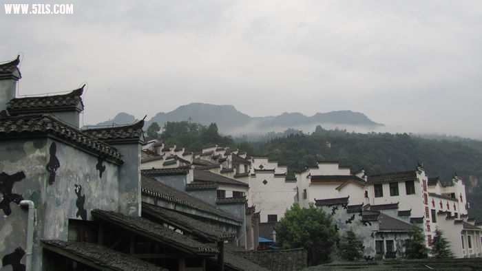 蔡店杨树堰 013.jpg