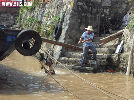 SDC13703.jpg
