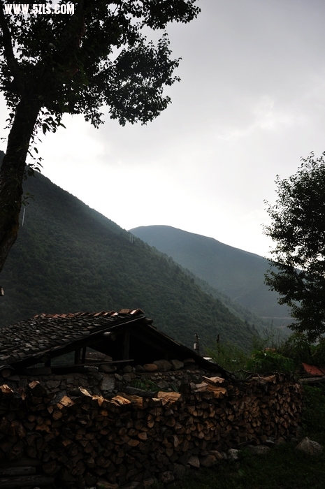 DSC_0203-1.jpg